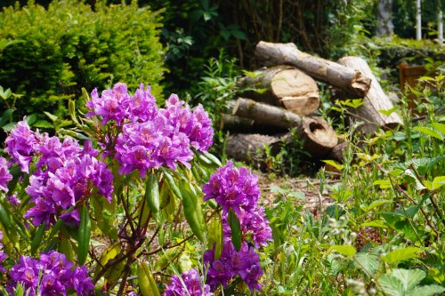 Bioamrywiaeth yng Nghanolfan Genedlaethol Chwaraeon Cymru.