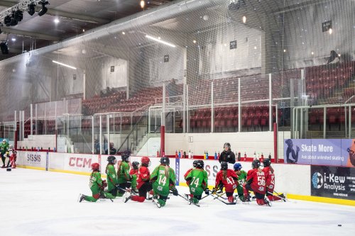 Tîm Hoci Iâ Deeside Dragons